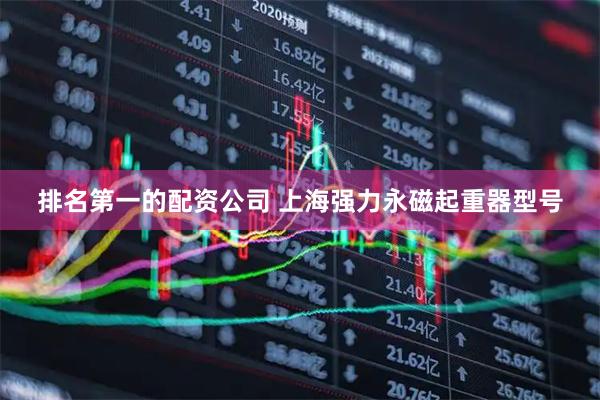 排名第一的配资公司 上海强力永磁起重器型号